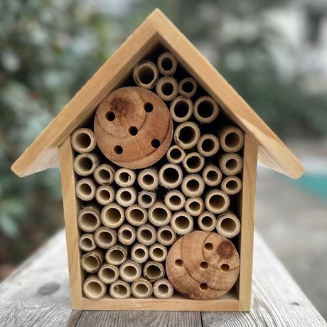 EGREE Mason Bee Houses Outdoor Wooden Bee Hotel for Garden and Yard Hand-Made Bamboo Bee Hive for Bees Butterflies and Ladybugs, Medium Size 8"x7.5"x5", Natural Finish EGREE