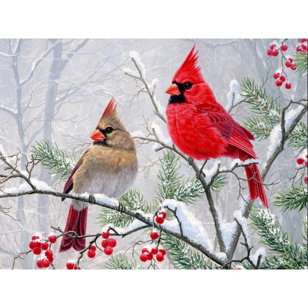 FHBUBPUP Diamond Art Painting Kits for Adults, Cardinal Birds Diamond Art Kits for Beginners, DIY Winter Gem Art Craft for Home Wall Decor, Great Gift for Kids 16x12inch FHBUBPUP