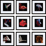 HEART ART 12x12 Black Picture Frame Set of 9, Display Pictures 8x8 with Mat or 12 x 12 without Mat, Multi Collage Gallery Square Photo Frames for Wall HEART ART