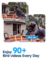 LongPlus® Smart Bird Feeder with Camera, Bird Feeders Camera Wireless Outdoor with Solar Powered,AI Identify,Smart Bird Camera Auto Capture Videos,Instant Notification,Ideal Gift for Mom Bird Lovers LongPlus