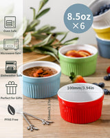 Hasense Ramekins Oven Safe, 8 oz Ramekins for Baking Souffle Ramekins Set of 6, Ceramic Dipping Sauce Cups for Pudding, Ice Cream, Custard, Dessert Bowls Porcelain, Dishwasher Safe, Multi color Hasense
