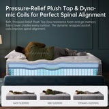 DCOOLAULTRA Queen Size Mattress 12 Inch, Medium Soft Hybrid with Memory Foam& Individually Wrapped Pocket Coils for Support,CertiPUR-US Certified,Fiberglass-Free DCOOLAULTRA