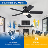 CHESUR 48In Ceiling Fans with Lights Flush Mount - Black Low Profile Ceiling Fan with 5 Dual-Sided Blades, Reversible and 6 Speeds, Indoor/Outdoor Ceiling Fan for Modern Living Room, Bedroom, Patios CHESUR