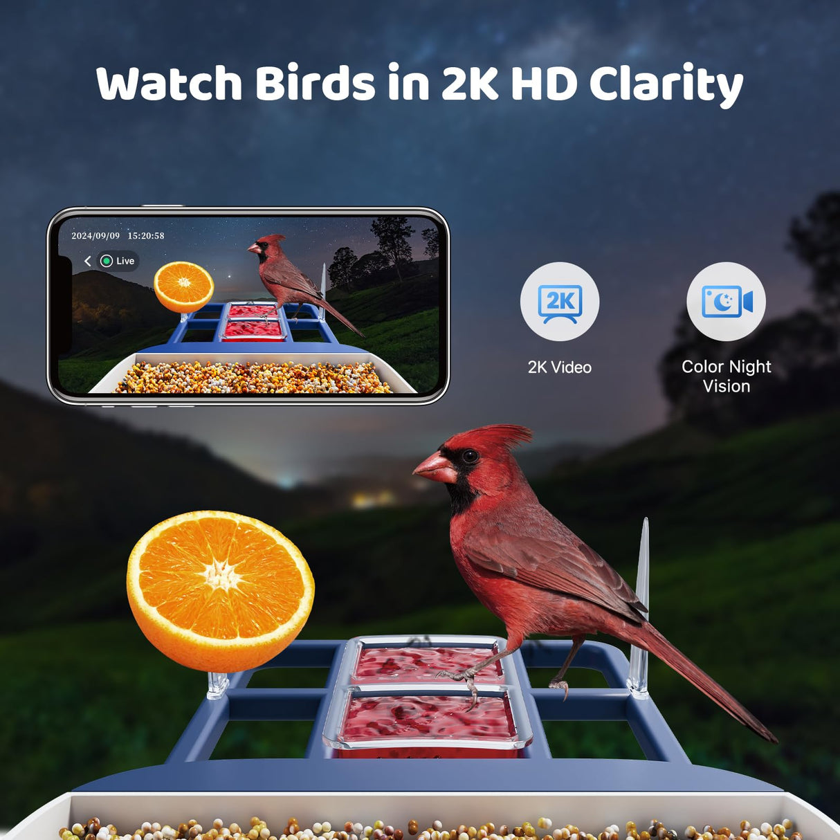 Solareye Bird Feeder with Camera, 2K HD Color Night View, AI Bird Identification, Auto Capture,Motion Detection Alerts, Smart Bird Feeder for Outdoors, Present for Bird Lover(Solar Panel Included) Solareye