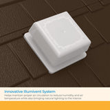 Suncast Vista 7x7 Storage Shed with Multi-Wall Resin Panels, 4 Skylights, IllumiVent System, and Pad-Lockable Doors, 84" D x 84" W x 98" H Suncast