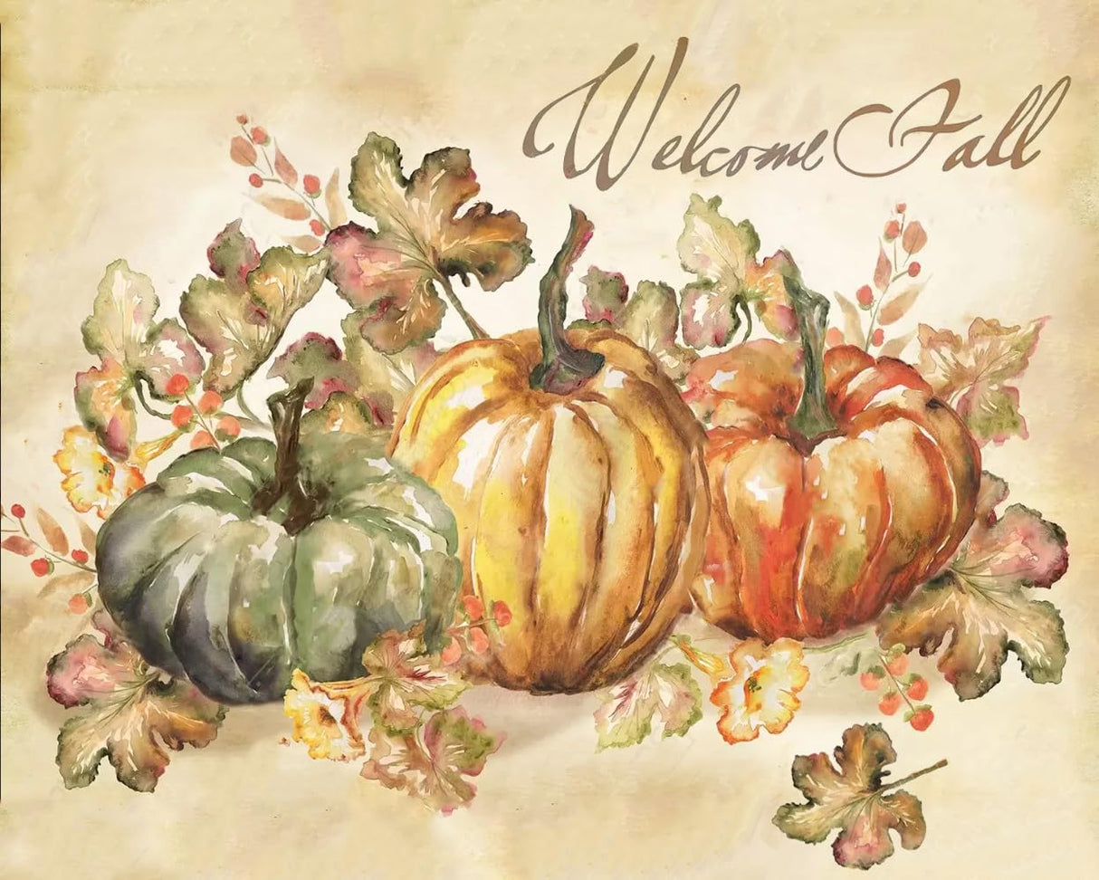 Apcufir Fall Paint by Numbers for Adults,Pumpkin Paint by Numbers Kits for Beginner,Autumn Paint by Number on Canvas for Holiday Home Wall Decor 16X20 Inch Apcufir