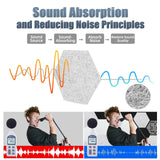 12 Pack Self-adhesive Acoustic Panels, Hexagon Sound Proof Panels, 14 X 12 X 0.4 In Sound Absorbing Panels, Flame Resistant, High-Density Sound Dampening Panels for Recording Studio Home, Offices Tutmyrea