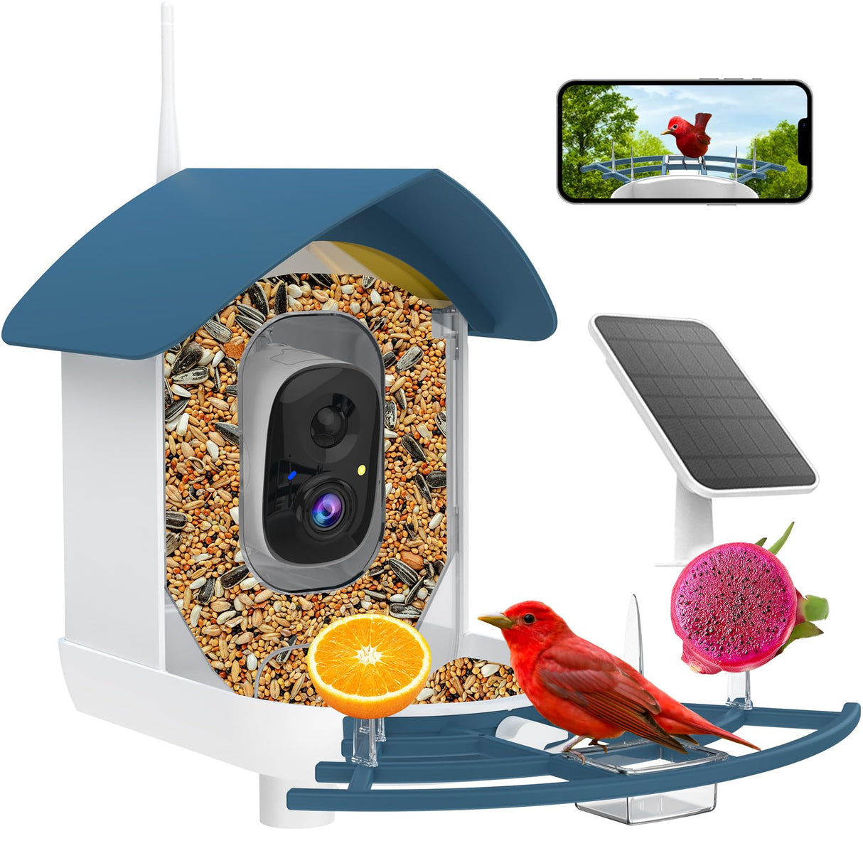 Bird Feeder with Camera,AI Identify Birds Species,Smart Birds Camera with Solar Powered,Auto Record 1080P Birds Video in Backyard,Instant Notifications,Ideal Gifts for Family and Bird Lovers,Navy Blue Fazoxo