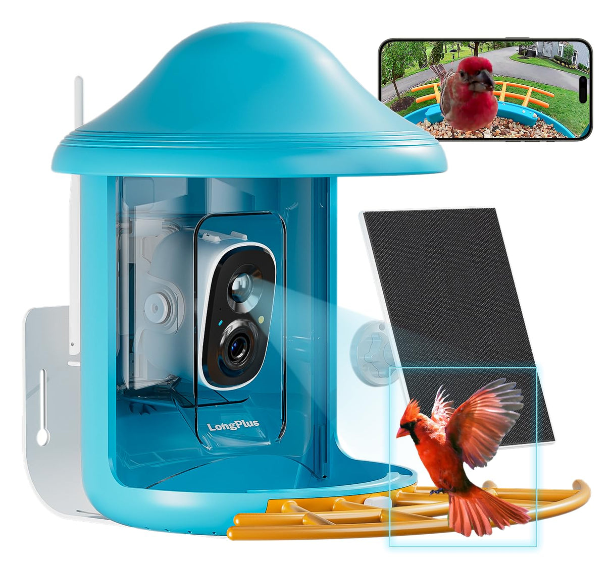 LongPlus® Smart Bird Feeder with Camera, Bird Feeders Camera Wireless Outdoor with Solar Powered,AI Identify,Smart Bird Camera Auto Capture Videos,Instant Notification,Ideal Gift for Mom Bird Lovers LongPlus