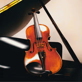 Violin for Beginners, Natural Acoustic 4/4 Violin for Adult Violin DIY Accessories Musical Instruments for Present, Full Sized 4/4 Violin (Not Included Bow) Focefec