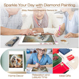 DIADAY Diamond Art Kits for Adults Horse, 5D Horse and Girl Diamond Painting Kits for Adults, Full Drill Round Gem DIY Diamond Dots Art Craft Home Wall Decor Gift 12 x 12 Inches DIADAY