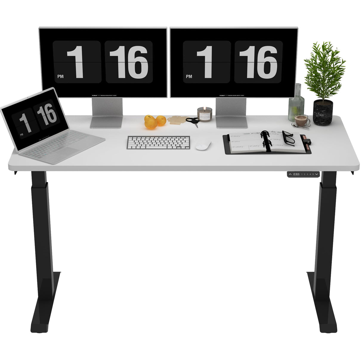 ALFA BUSINESS Dual Motor Standing Desk 60x30 Inches, Electric Adjustable Height Desk for Home Office, Sit and Stand Computer Desk with Memory Presets ALFA BUSINESS