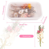 Chenkaiyang 6Pcs Mini Dried Flowers Bouquet, Mixed Natural Dried Flowers Gypsophila Bouquets Boutonniere Table Centerpieces Birthday Cake Flowers for DIY Crafts with 3 Flower Stickers 10m Hemp Rope Chenkaiyang