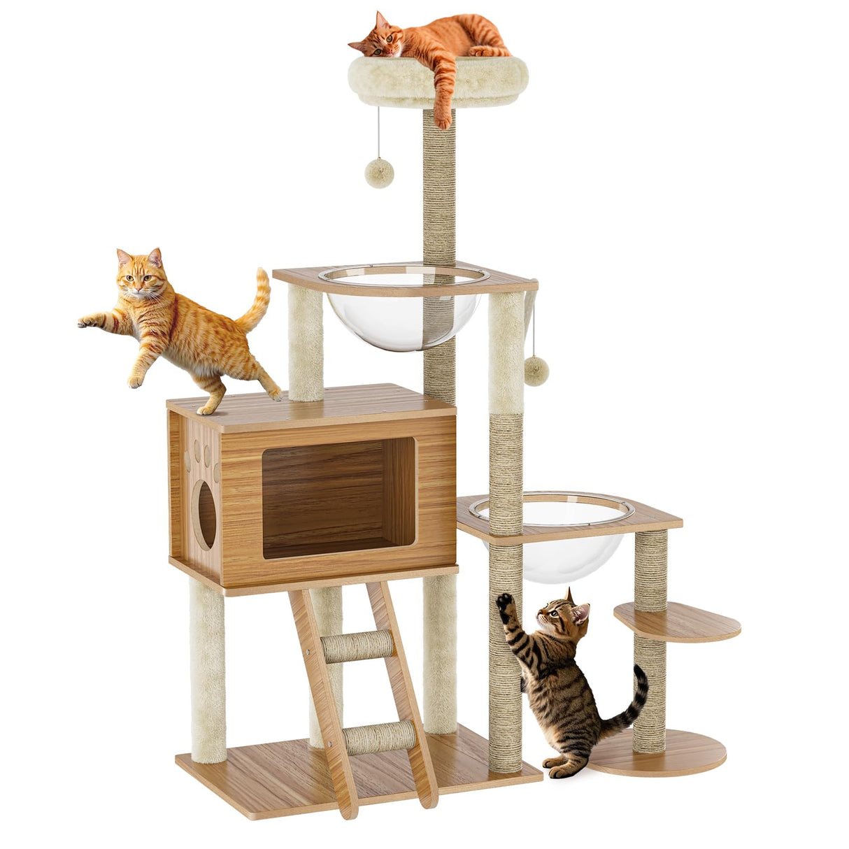 55'' Wood Cat Tree Modern Multi-Level Cat Tree Tower for Indoor Small & Large Cats with 2 Space Capsules Sisal Scratching Post Wooden Cat Condo Plush Top Perch and Dangling Toy Balls OUTGOODS