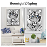 RICUVED Diamond Art Kits for Adults, White Tiger Diamond Art Full 5D Diamond Art Kits Tiger Rhinestone Picture Art Craft for Home Wall Decor 11.8x15.7 Inch RICUVED
