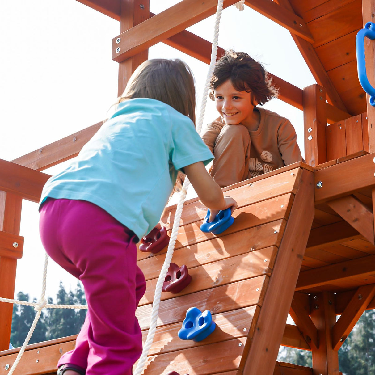 Dolphin Playground Wooden Swing Sets, Monkey bar, Plank Bridge with Rope Mesh, 2 Wave Slides, Large Climbing Wall, Outdoor Table, Saucer Swing, Playground Sets for Backyards, Outdoor Playset DOLPHIN PLAYGROUND T