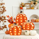 Grinsvalley 3 Pcs Light up Thanksgiving Pumpkin Decor Thanksgiving Farmhouse Pumpkins Sign Rustic Tiered Tray Decorations Table Centerpieces Standing Wooden Block Sign for Home Kitchen Halloween Grinsvalley