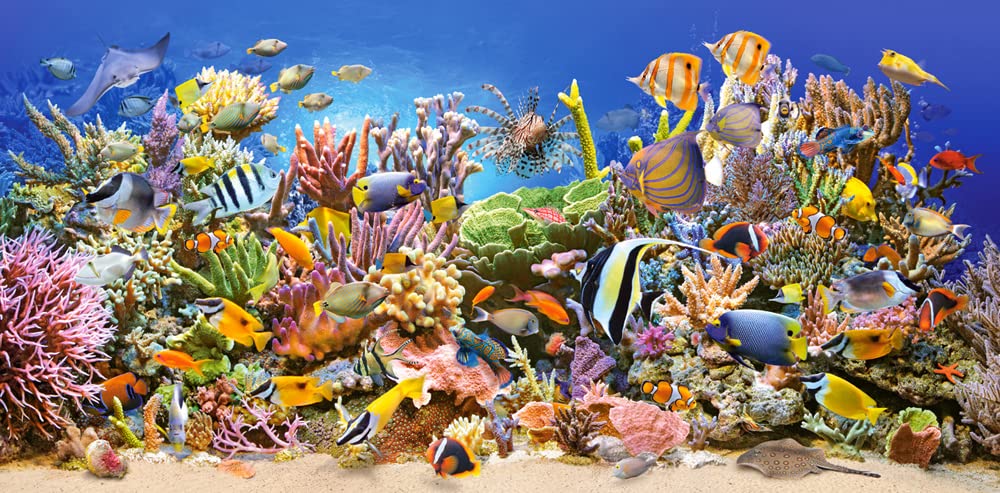 Castorland "Underwater Life Puzzle (4000 Piece) Castorland