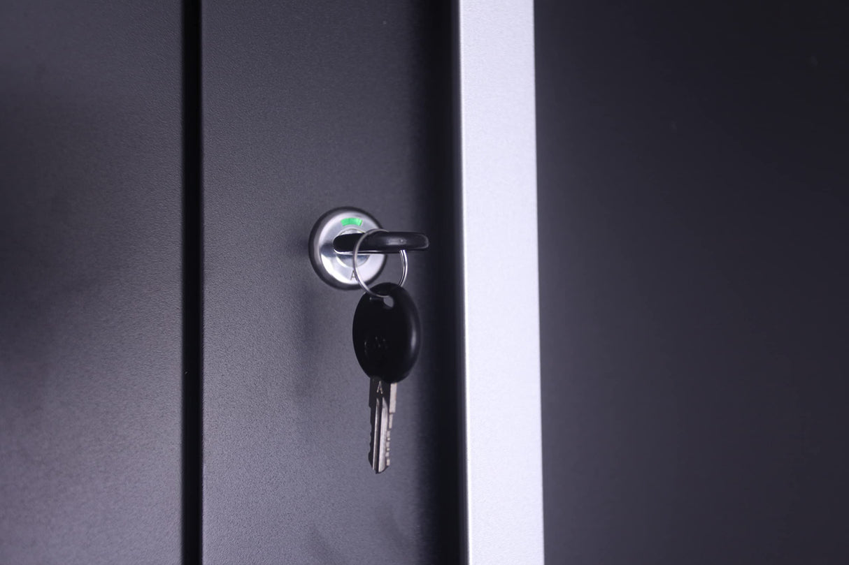 Crownwall Pro Series Fully Assembled Wall Cabinet, Garage Storage, Home Organizer Storage System (Black with Silver Handles) Crownwall