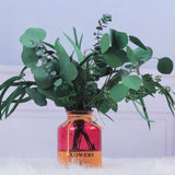 12 Pcs Mixed Real Dried Eucalyptus Leaves Stems - Preserved Eucalyptus Branches, Silver Dollar Eucalyptus, Seeded Eucalyptus Bouquets for Vase Floral Arrangements Wedding Greenery Decor Glicrili