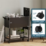 Mobile Files with Lock, Rolling File Cabinet Hanging Letter/Legal Size with Lockable Sliding Cover, Office File Organizer on Wheels MIIIKO