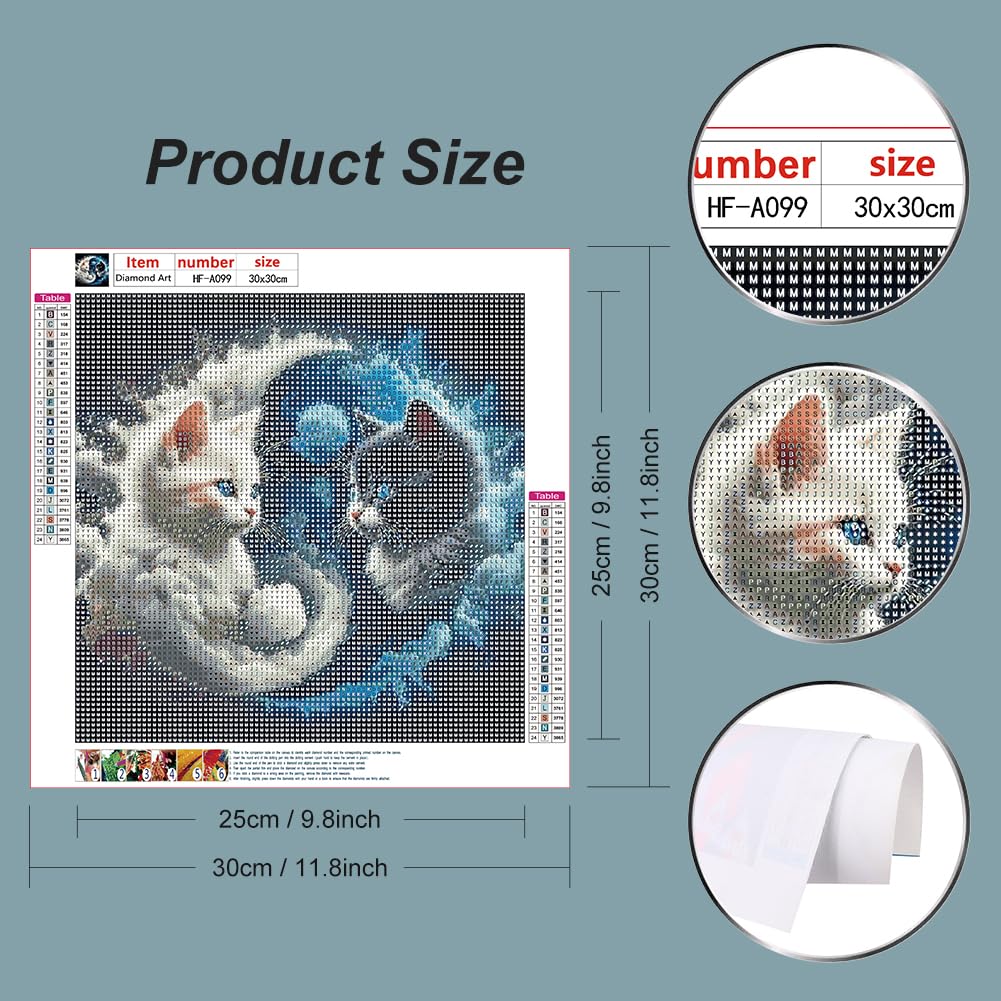 hill froeistung Cat Diamond Art Painting Kits for Adults, Taichi Cat Diamond Art for Beginners, 5D DIY Full Drill Round Gem Art Craft Home Wall Decor Gift 12x12 inch hill froeistung