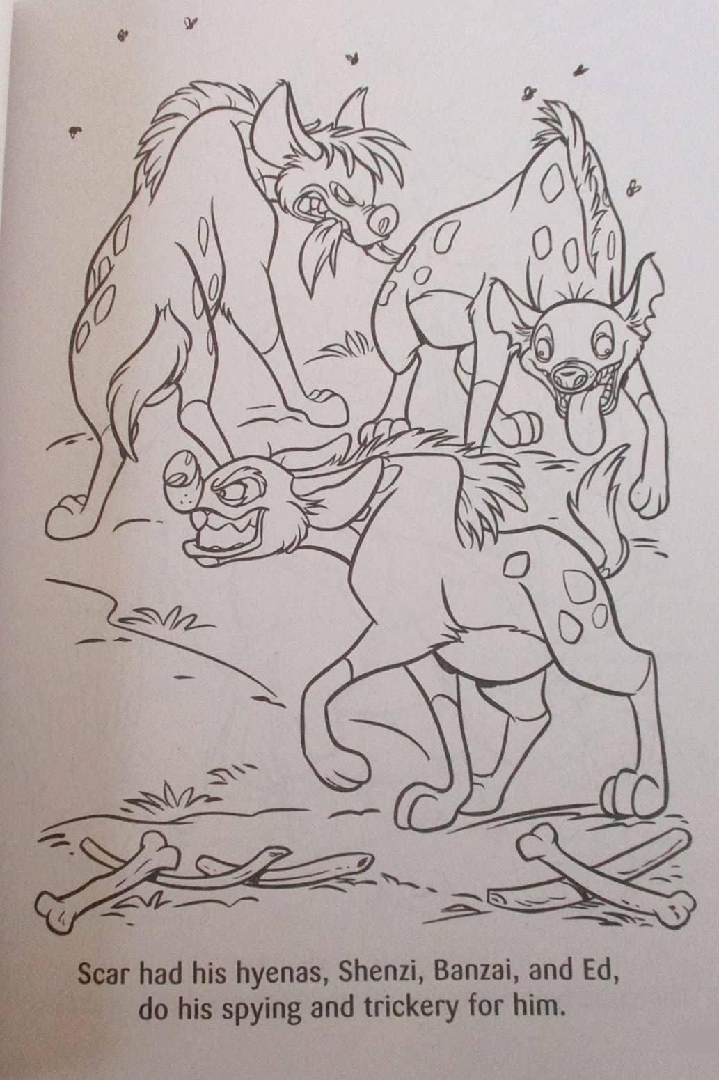 The Lion King Coloring and Activity Book Colortivity ''Wild Fun'' - 80 Pages Activity Books