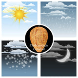 DECYOOL 4 Pack Wasp Nest Decoy Hanging Wasp for Wasps Hornets Yellow Jackets Outdoor Waterproof Material (Orange) DECYOOL