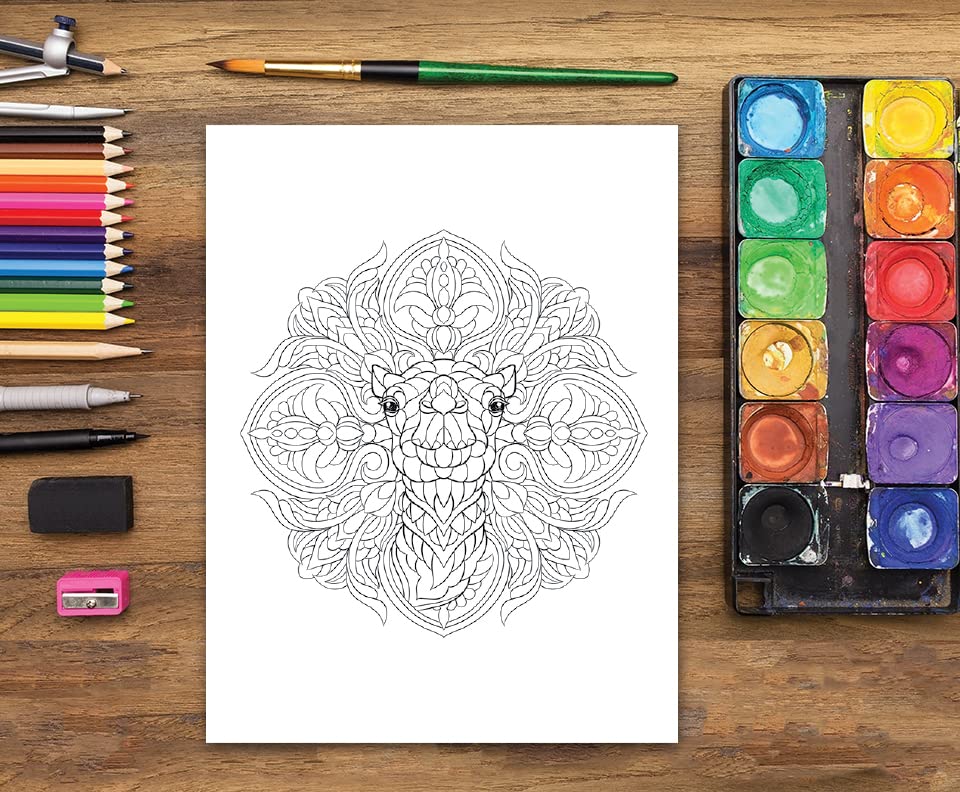 Adult Coloring Book: Animal Mandalas