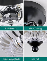 Semi Flush Mount Ceiling Light, Crystal Glass Ceiling Light Fixture, 3-Bulb Modern Black Close to Ceiling Light, Vintage Glass Ceiling Lights for Bedroom Kitchen Living Room, Bulb Not Included SIJINCHEN