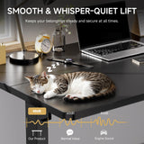 GTRACING Electric Standing Desk, 55 x 24 Inches Sit Stand up Desk with Memory Preset Controller, Height Adjustable Ergonomic Home Office Computer Desk (Black) GTRACING