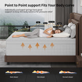 EVLWZL Full Size Mattress,14 inch Memory Foam Hybrid Mattresses in a Box，Full Mattress with Individually Pocket Springs, Medium Firm Feel，Fiberglass Free, Soft and Breathable EVLWZL