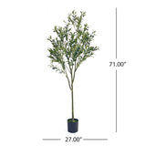 Christopher Knight Home 313747 Artificial Olive Tree, 6' x 2', Green Christopher Knight Home