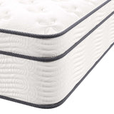 Modway Jenna 14” Innerspring and Memory Foam Queen Mattress With Individually Encased Coils, White Modway