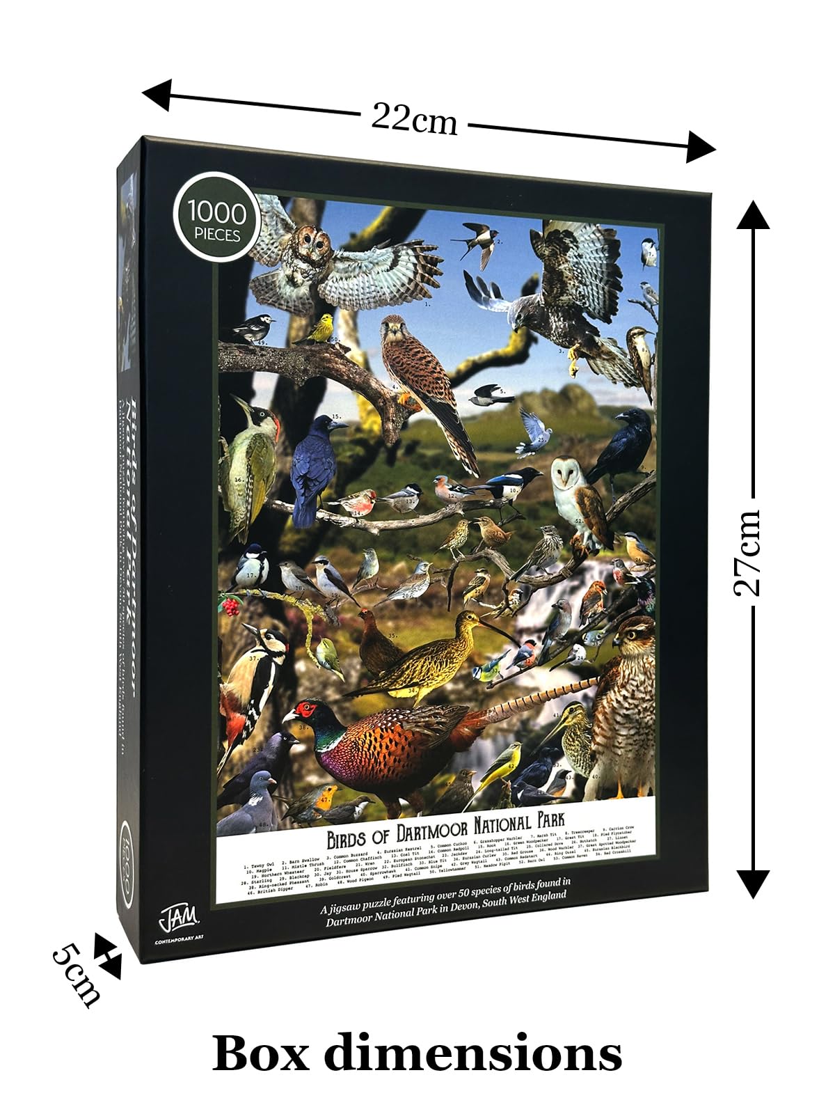 Bird Puzzles for Adults 1000 Pieces | Discover Birds of Dartmoor National Park - A 1000 Piece Puzzle for Adults | Gift for Nature and Wildlife Lovers | Adapted from an Original Art Collage Jam Contemporary Art