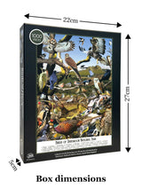 Bird Puzzles for Adults 1000 Pieces | Discover Birds of Dartmoor National Park - A 1000 Piece Puzzle for Adults | Gift for Nature and Wildlife Lovers | Adapted from an Original Art Collage Jam Contemporary Art