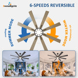 BvenuBigLite Large Ceiling Fans with Lights: Modern 72 Inch 8 Blade Outdoor Ceiling Fan with Remote APP Control - Dimmable Black Big Fan light Indoor Reversible 6 Speed Quiet DC Motor BvenuBigLite