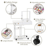 Elephance Moveable Vanity Desk with Mirror for Small Spaces, Makeup Dressing Table Computer Desk with Drawers and Shelves for Bedroom Elephance