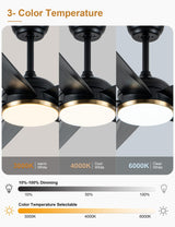 Curve Curio 65 Inch Ceiling Fans with Lights, Black Large Modern Ceiling Fan with Remote Control for Living Room Kitchen, 3 CCT, 6 Speed Reversible DC Motor (Black-Rattan) Curve Curio