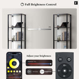 FENLO Fancy - LED Display Shelf with Dimmable Lights, LED Shelf Floor Lamps for Living Room, Sturdy Corner Shelf Curio Cabinet Display, Tall Floor Lamps with Shelves FENLO