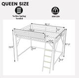 OYUMOENTS Queen Size Loft Bed Frame for Adults, Metal Queen Loft Bed with Storage Shelves & Ladder, Heavy-Duty Beds Frame with Large Under-Bed Space, No Squeaking for Kids Teens Adults, White OYUMOENTS