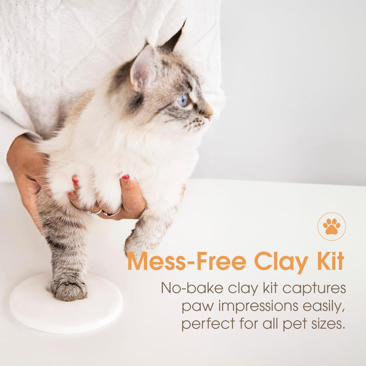 Pearhead Pet Pawprints Wall Picture Frame and Clay Impression Kit - DIY Clay Paw Print, Memorial Keepsake Frame for Cat and Dog, Ideal Home Decor Gift for Pet Owners, 4x6 Photo, Distressed White Pearhead