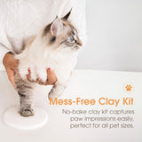 Pearhead Pet Pawprints Wall Picture Frame and Clay Impression Kit - DIY Clay Paw Print, Memorial Keepsake Frame for Cat and Dog, Ideal Home Decor Gift for Pet Owners, 4x6 Photo, Distressed White Pearhead