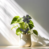 Therwen Welding Kits Flower Welding Coupons 16 Gauge Tig DIY Stainless Steel Welding Practice Kit Metal with Mig, Tig, Gas, Arc, Stick (Classic, 1 Set) Therwen