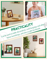 OEHPICC Needle Felting Kits for Beginners Adult, Wool Felting Kit with Frame & Tools, Needle Felt Painting Kit Includes Felting Needles, Fabric Sheet, Instructions (3 Potted Plants) OEHPICC