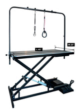 SHELANDY Pet Dog Grooming Table Electric & Heavy Duty... SHELANDY