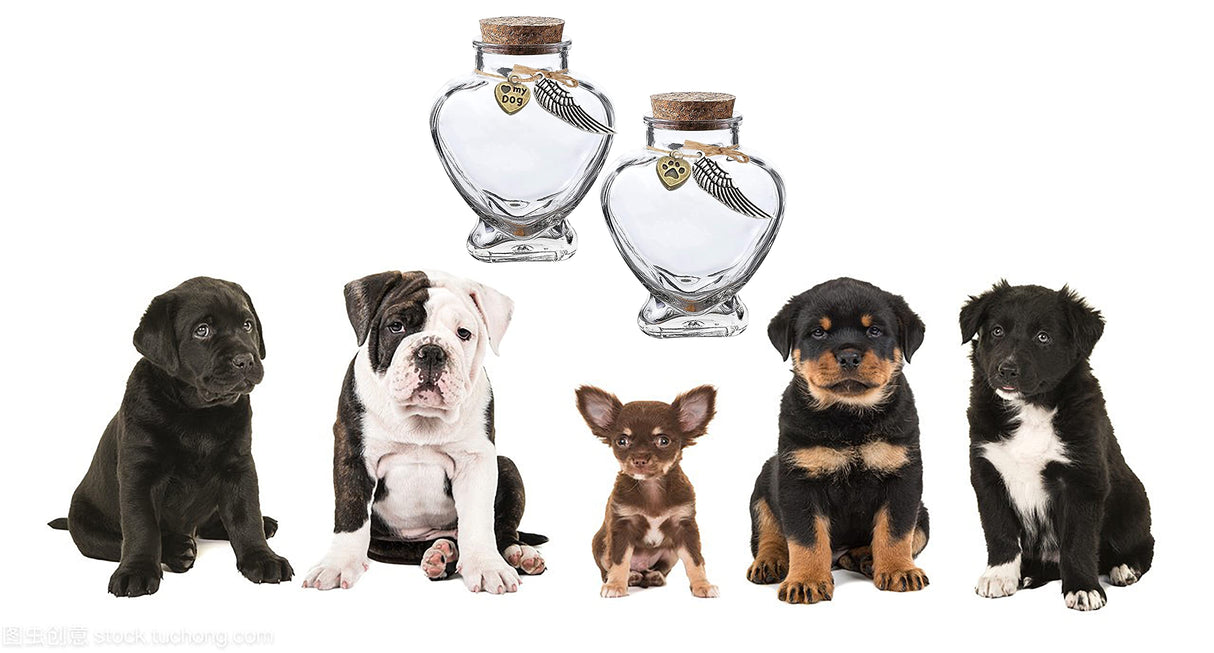 Fight Club Memorial Bottle for pet Hair，Pet Fur Memorial Fur Keepsake，Dog cat Keepsake Fur, pet Memorial urn (Dog) Fight Club