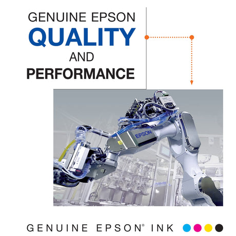 EPSON 702 DURABrite Ultra Ink Standard Capacity Black Cartridge (T702120-S) Works with WorkForce Pro WF-3720, WF-3730, WF-3733 Epson
