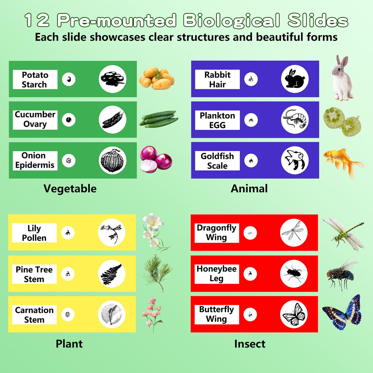 Odatay Microscope for Kids with 12 Slides, 100X-1000X 1080P Digital Handheld Kids Microscope, Mini Portable Pocket Miniscope Science Toys Gifts for 3+ 4 5 6 7 8 9 10 11 12 Year Old Boys Girls, Blue Odatay