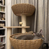 54" Modern Cat Tree for Large Cats, Wood Luxury Multi-Level Oak Solid Wood Cat Trees Cat Towers with 3 Rattan Weaving Cat Nests & Washable Cushions, Sisal Scratching Posts, for Indoor Cats-Lacquered MewJoyee